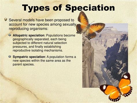 Ppt Speciation Powerpoint Presentation Free Download Id4671474