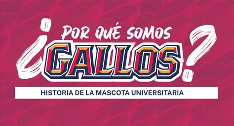 ¿por Qué Somos Gallos Uaa Universidad Autónoma De Aguascalientes