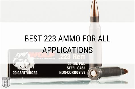 Best 223 Ammo Chosen By The Experts At