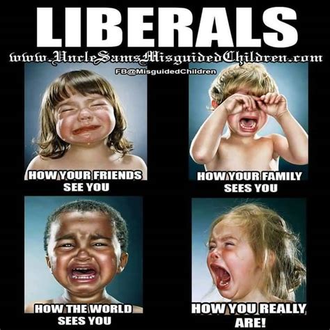 Liberals Crying Meme Funny Image Photo Joke 11 Quotesbae