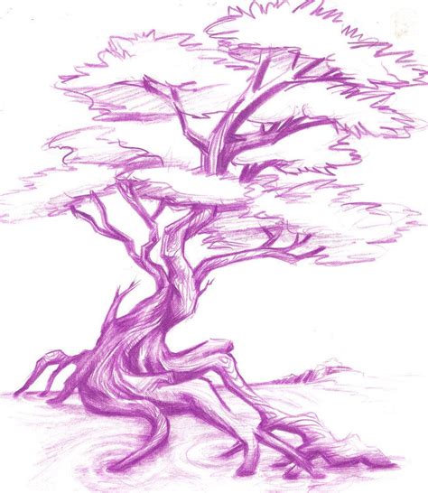 Tattoo Tree Study By Porticulous On Deviantart Bonsai Tree Tattoos