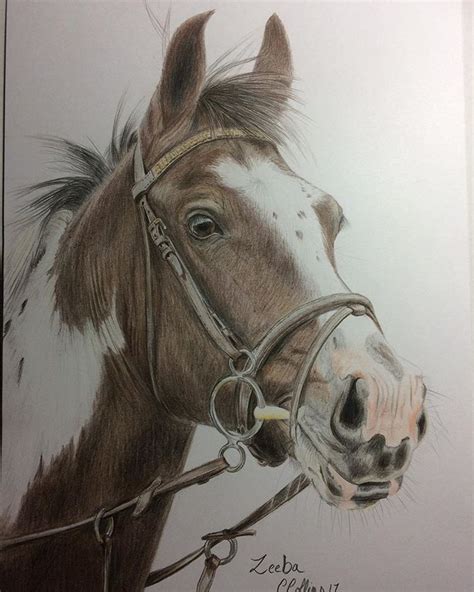 Realistic Drawings Horse Realistic Horse Head Drawing At