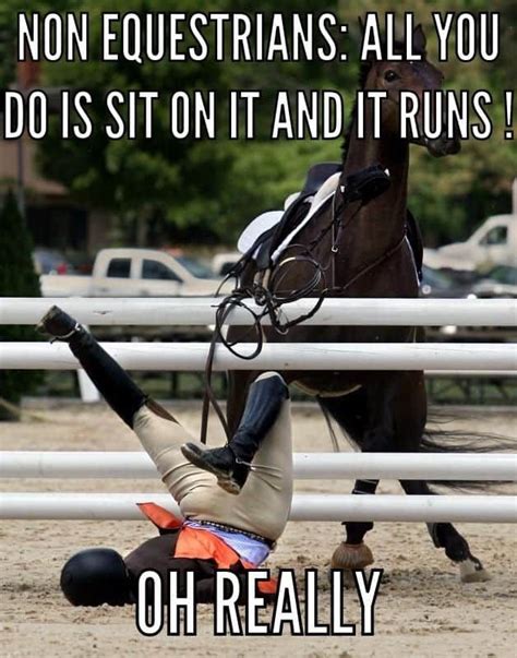 He makes a good point. Love equestrian memes? Then this collecton of funny images ...