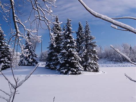 Winter Wonderland 1 Free Photo Download Freeimages