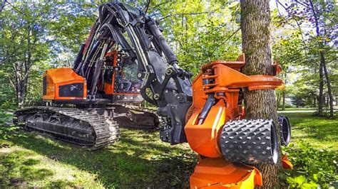 Powerful Big Tree Harvester Working Amazing Giant Excavator Cutting