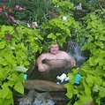 PsBattle: This man sitting in his pond during the UK Heatwave : CozyPlaces