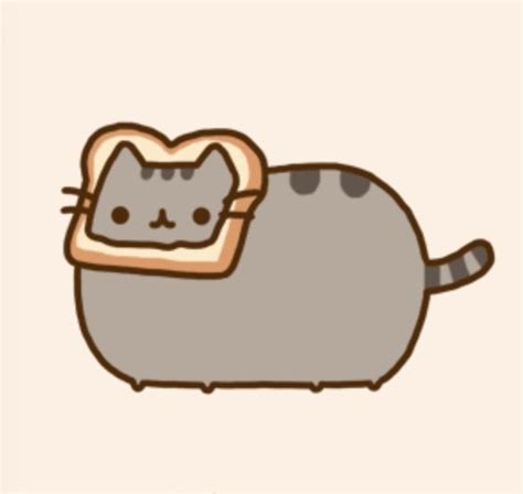 1000 Images About Sushi Cat My Favorite Board Yet On