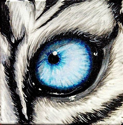 10 Best Tiger Eyes Images On Pinterest Drawings Of Tigers Tiger