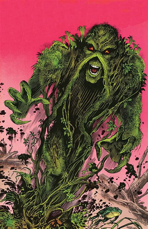 Swamp Thing Swamp Dc Comics Art