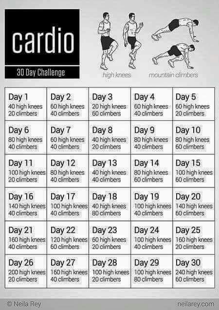 30 Day Challenge Cardio Toning Workout Plan Cardio Workout Video