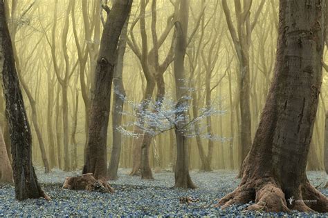 Hidden Speul By Lars Van De Goor Photo 188437039 500px