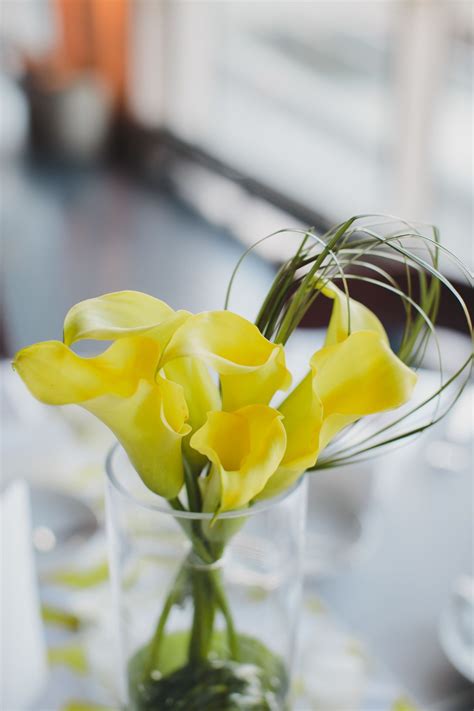 Minimal Yellow Calla Lily Centerpieces | Calla lily centerpieces, Lily centerpieces, Yellow ...