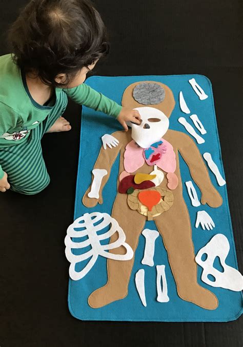 Educational Felt Human Anatomy Parts Of The Body Etsy Preschool