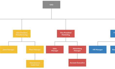 The Astounding Organogram Example You Can Edit This Template And