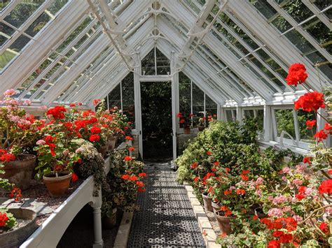 A Greenhouse At The Lost Gardens Of Heligan Rpics