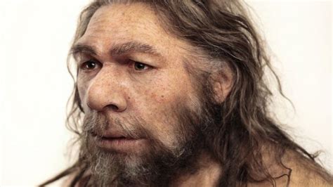 Clue To Neanderthal Breeding Barrier Ancient Dna Dna Human Dna