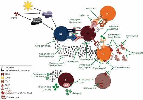 Диета печень лечат Питание при системной красной волчанке: что можно, противопоказано Питание при системной красной волчанке: что можно, противопоказано Диета печень лечат