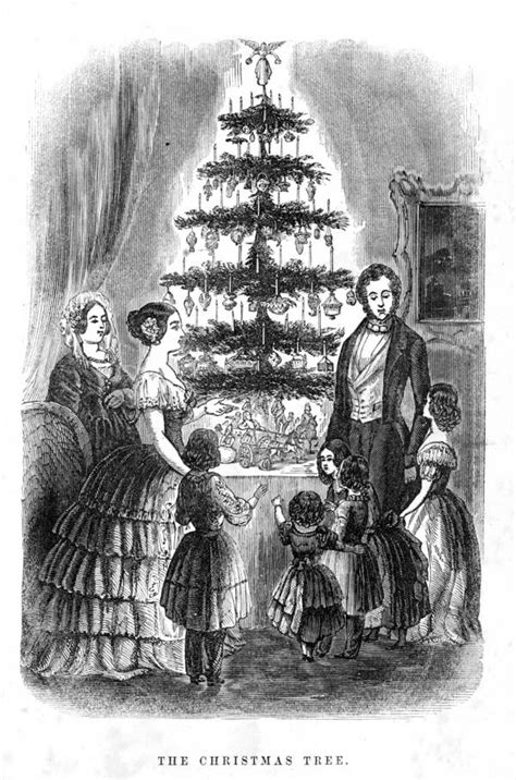 the history of the christmas tree from pagan origins to today