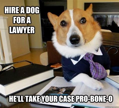 Best Of The Lawyer Dog Meme 20 Pics