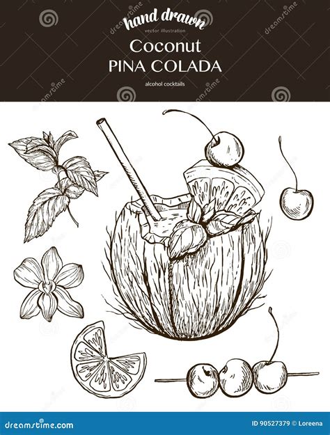 Coconut Pina Colada Vector Sketch Illustration Stock Vector