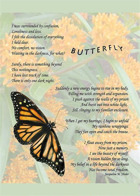 The Butterfly Digital Art By Jacqueline Shuler Butterfly Quotes