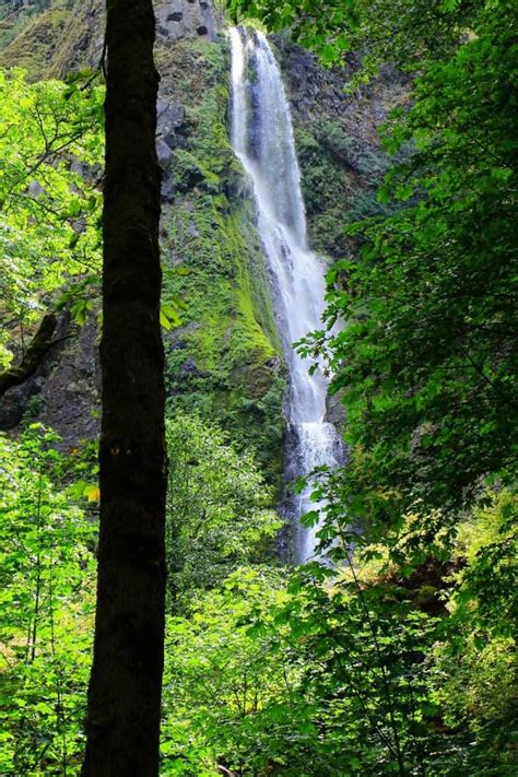 15 Must See Columbia River Gorge Waterfalls