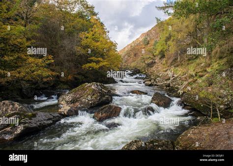 Fast Flowing Water Cascades Over Boulders In The Aberglaslyn River