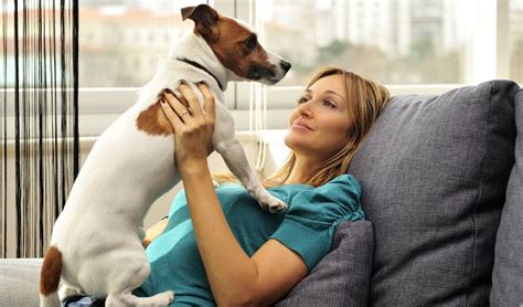 25 Best Dog Breeds For Small Apartments Top Dog Tips