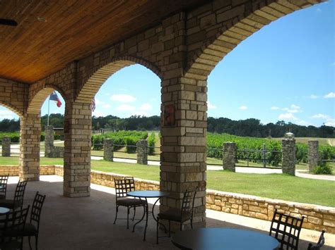 View Of The Vineyard From The Tasting Pavilion At Flat Creek Estate