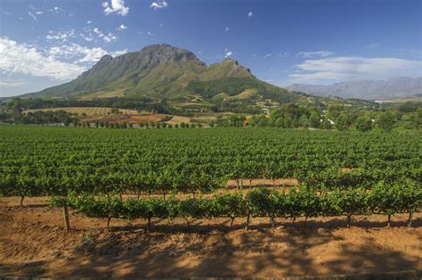 South Africa Top 10 Cape Town And The Winelands Books Africa