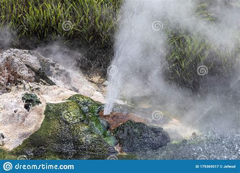 Hot Springs At Waimangu Geothermal Park Stock Image Image Of Volcano