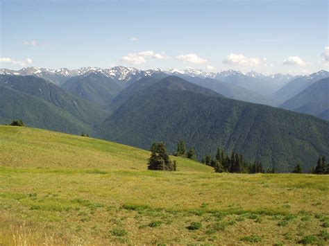 Hurricane Ridge Olympic National Park Taken July 2002 In Flickr