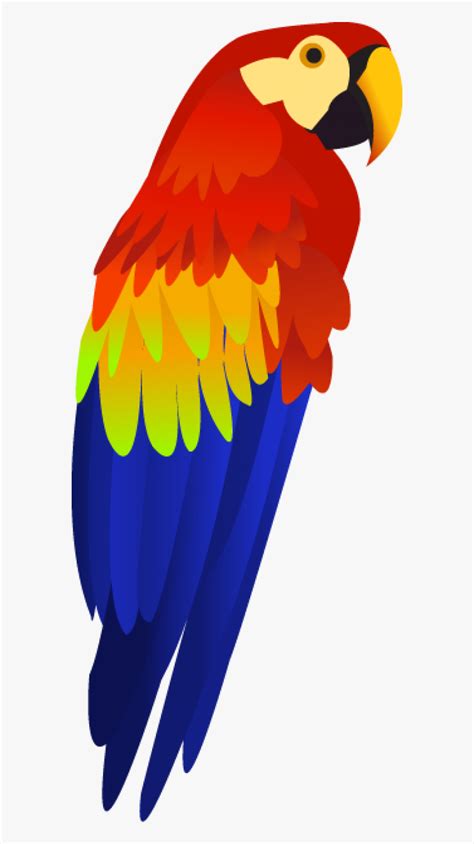 Parrot Clipart Png