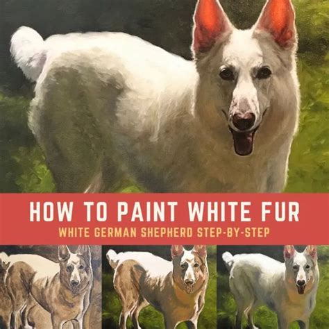 How To Paint White Fur Step By Step White German Shepherd White