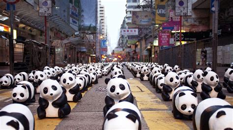 1600 Pandas Invade Hong Kong