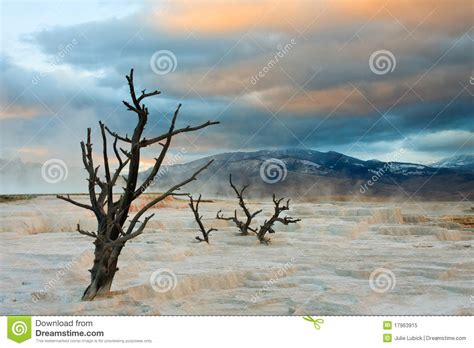 Sunset Over Mammoth Hot Springs Stock Image Image Of Iconic Heated