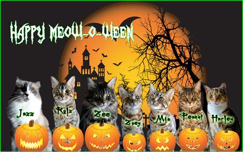 Wishes For A Safe And Happy Meow O Ween To All Zee