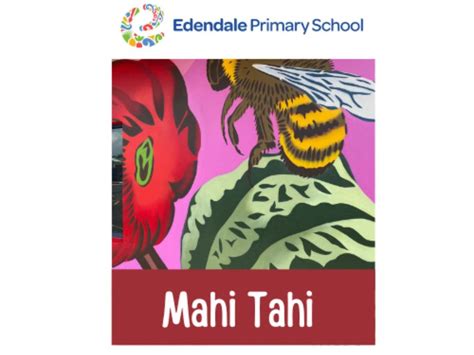 Edendale Primary Colour Run Mahi Tahi Team Rooms 11 17 Givealittle