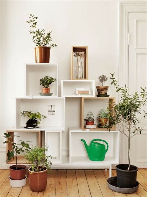 Indoor plants are kept in most homes and offices, as people have always cherished the numerous benefits they offer. 99 Great Ideas to display Houseplants | Indoor Plants ...