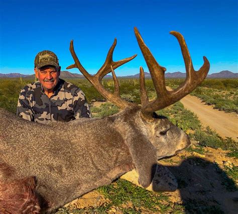 Coues Deer Hunting In Mexico Bmo Hunts