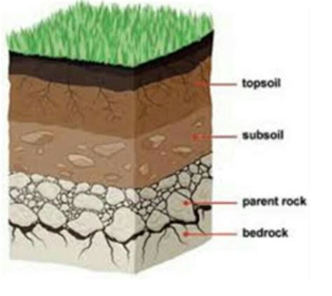 The Soil Layer And Describe It Also