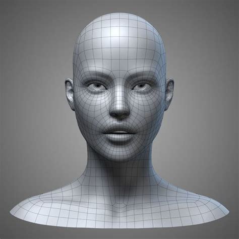 female head 3 3d model 26d human anatomy model anatomy models 3d model character character