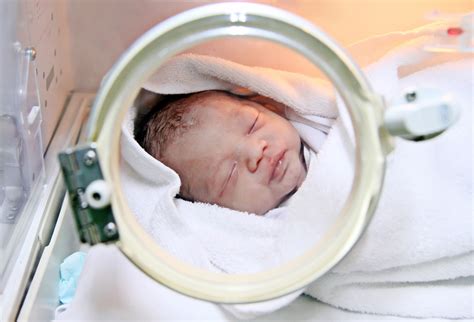 Bayi Prematur Dan Kecerdasan Anakkuid