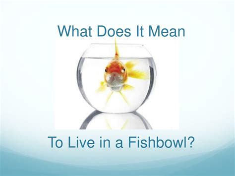 Ppt Life In A Fishbowl Powerpoint Presentation Free Download Id