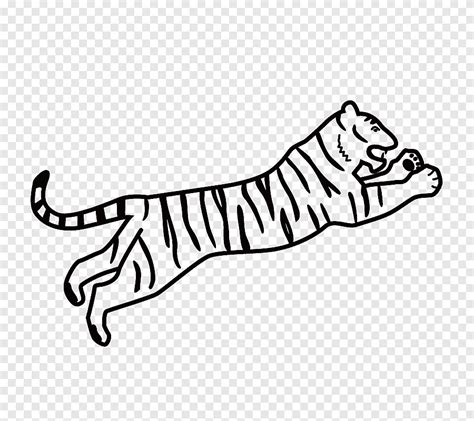벵골 호랑이 그림 색칠 공부 호랑이 먹이 화이트 포유 동물 png PNGEgg