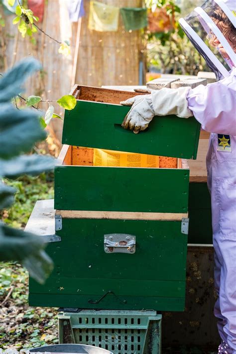 Bienen Mit Honig Einfüttern In Diesem Jahr Haben Meine Bienen So Fleißig Gesammelt Dass Ich