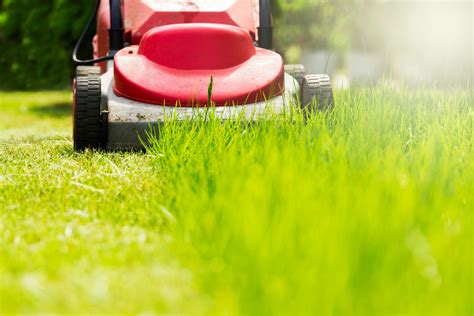 How To Mow Your Lawn Like A Pro Coastal Real Estate Guide