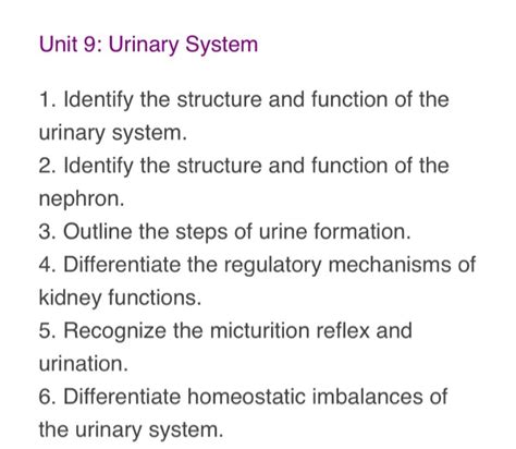 Solved Unit 9 Urinary System 1 Identify The Structure A