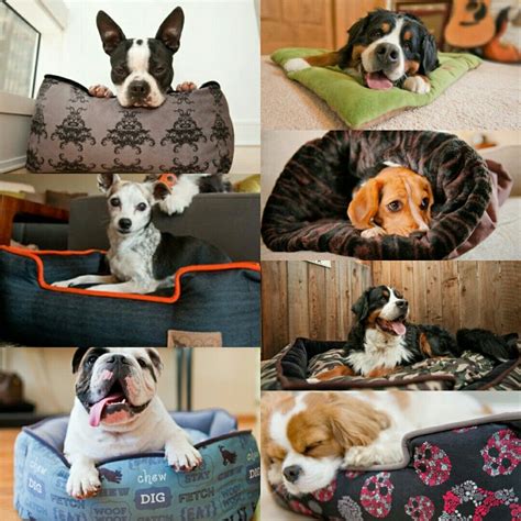 Luxury Dog Beds Luxury Dog Dog Bed Luxury Dog Bed