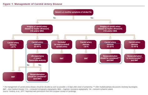 Management Of Carotid Artery Disease Radcliffe Cardiology